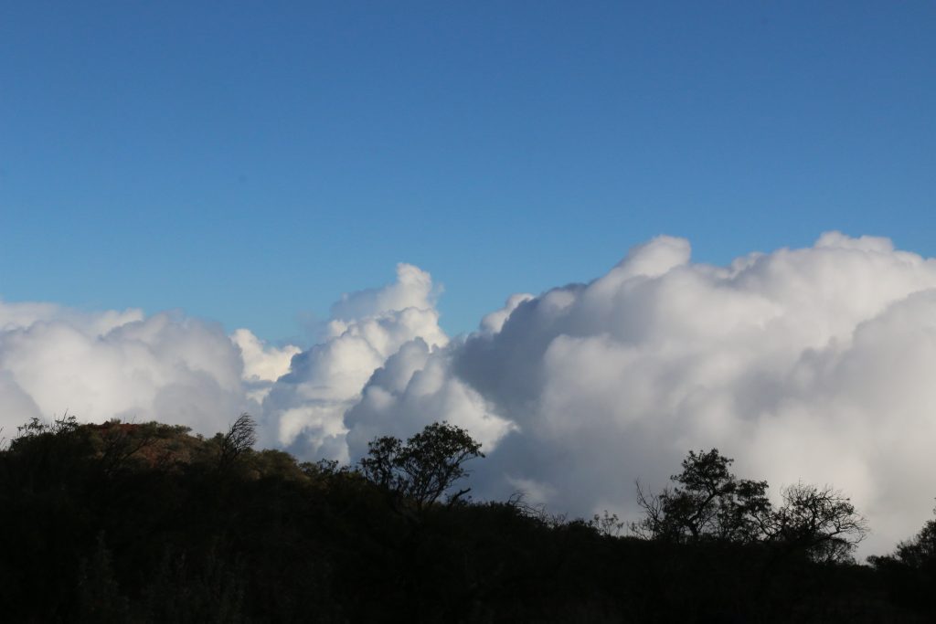 Mauna Kea